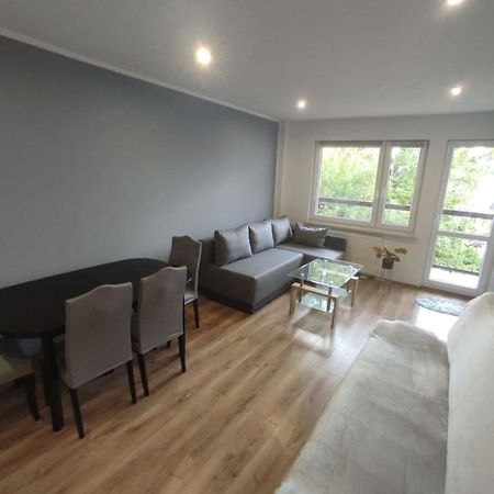 Apartament Sloneczny Lejlighed Chorzów Eksteriør billede